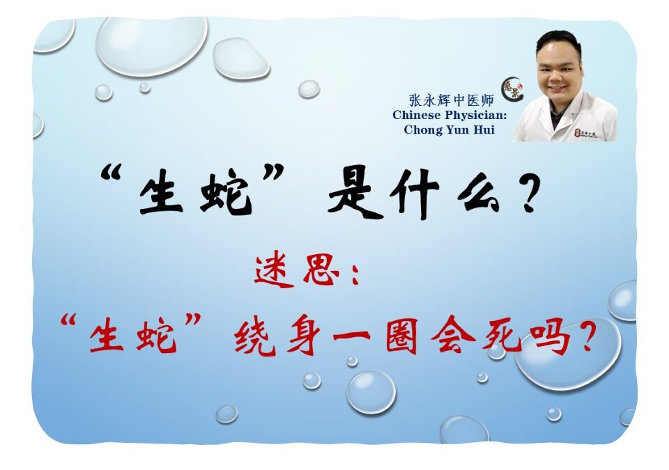 生蛇是什么？“生蛇”绕身一圈会死吗？【张永辉医师】