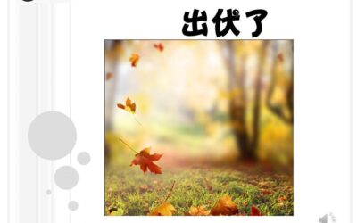 出伏了！最热的三伏天谢幕了！【廖小慧中医师】