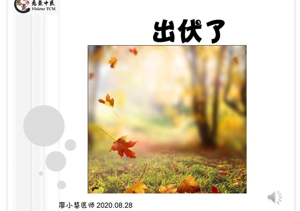 出伏了！最热的三伏天谢幕了！【廖小慧中医师】