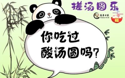 2020 搓汤圆乐 【你吃过酸汤圆吗？】