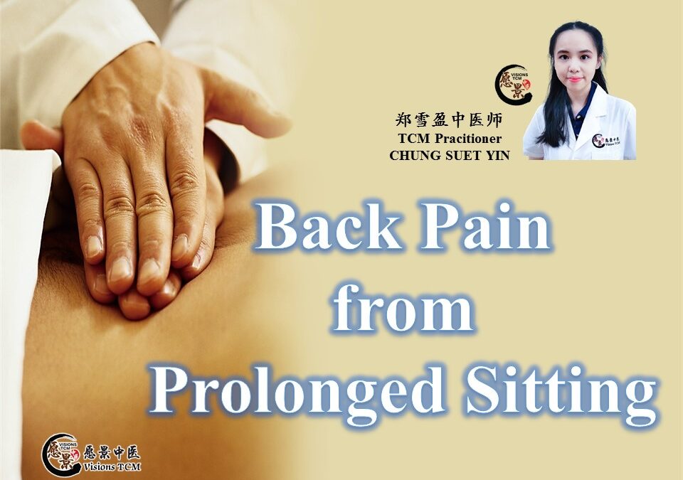 Back Pain from Prolonged Sitting【TCM Prac. Chung】