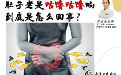 肚子老是咕噜咕噜响到底是怎么回事？【郑雪盈医师】