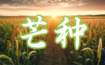 【二十四节气 – 芒种 – 中医养生】