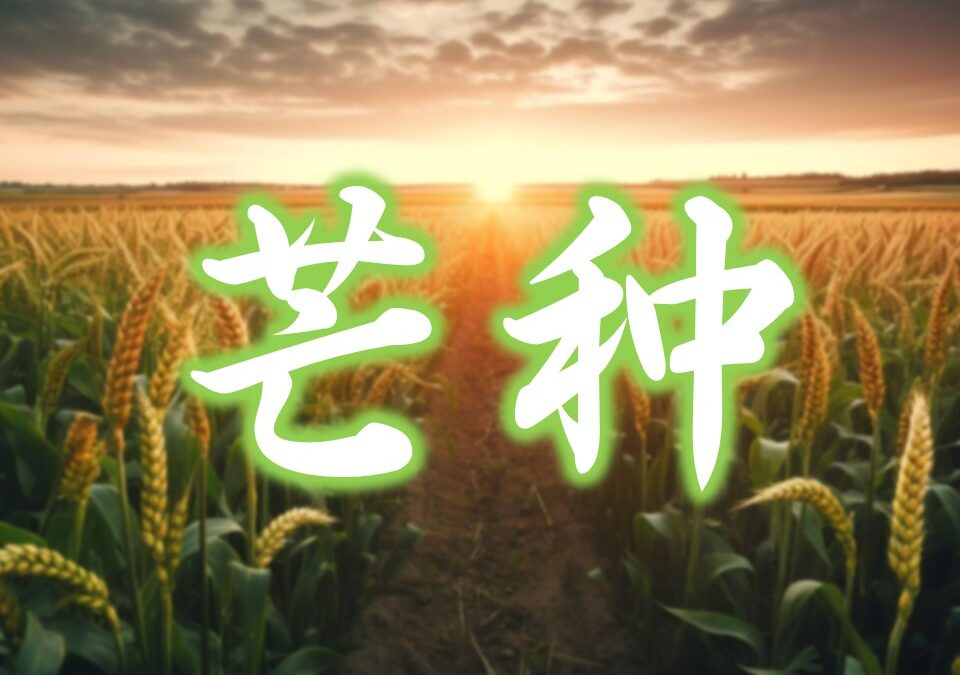 【二十四节气 – 芒种 – 中医养生】