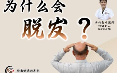 为什么会脱发？黄伟智医师
