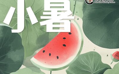 【二十四节气 – 小暑 – 中医养生】