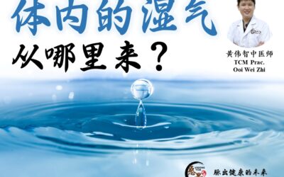 体内的湿气从哪里来？黄伟智医师