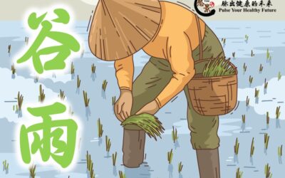【二十四节气 – 谷雨 – 中医养生】