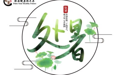 【二十四节气 – 处暑 – 中医养生】