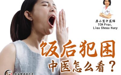 饭后犯困，中医怎么看 – 廖小慧医师