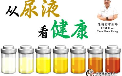 从尿液看健康：你的身体在悄悄透露什么 – 陈瀚堂医师