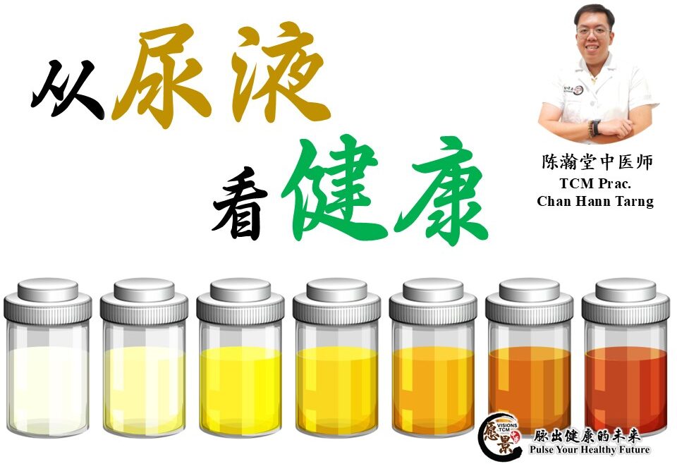 从尿液看健康：你的身体在悄悄透露什么 – 陈瀚堂医师