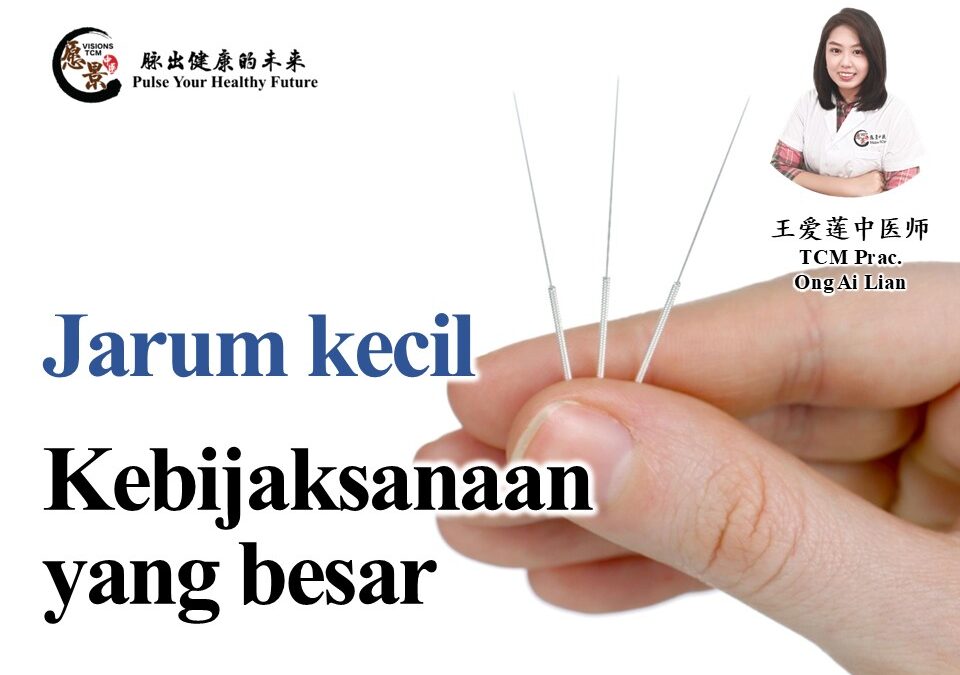 Jarum Kecil, Kebijaksanaan Besar