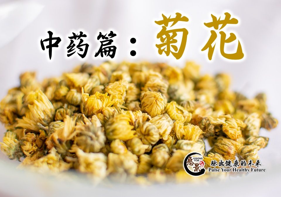 中药篇：菊花