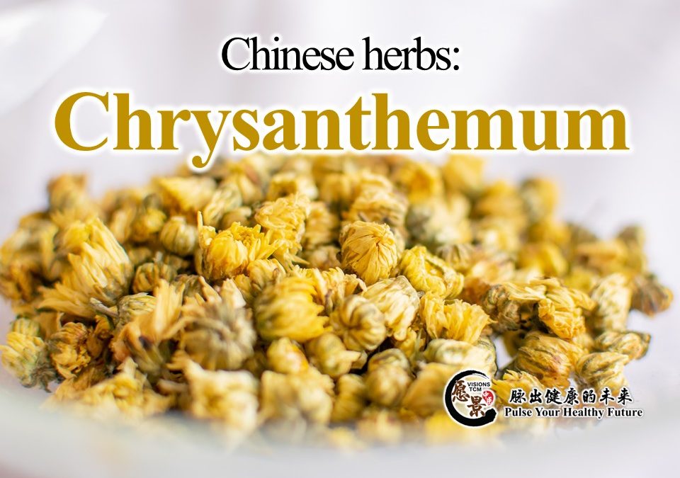 Chinese Herbal: Chrysanthemum