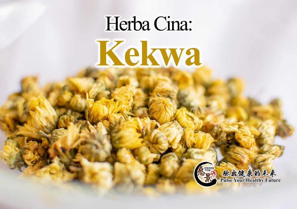 Herba Cina: Kekwa