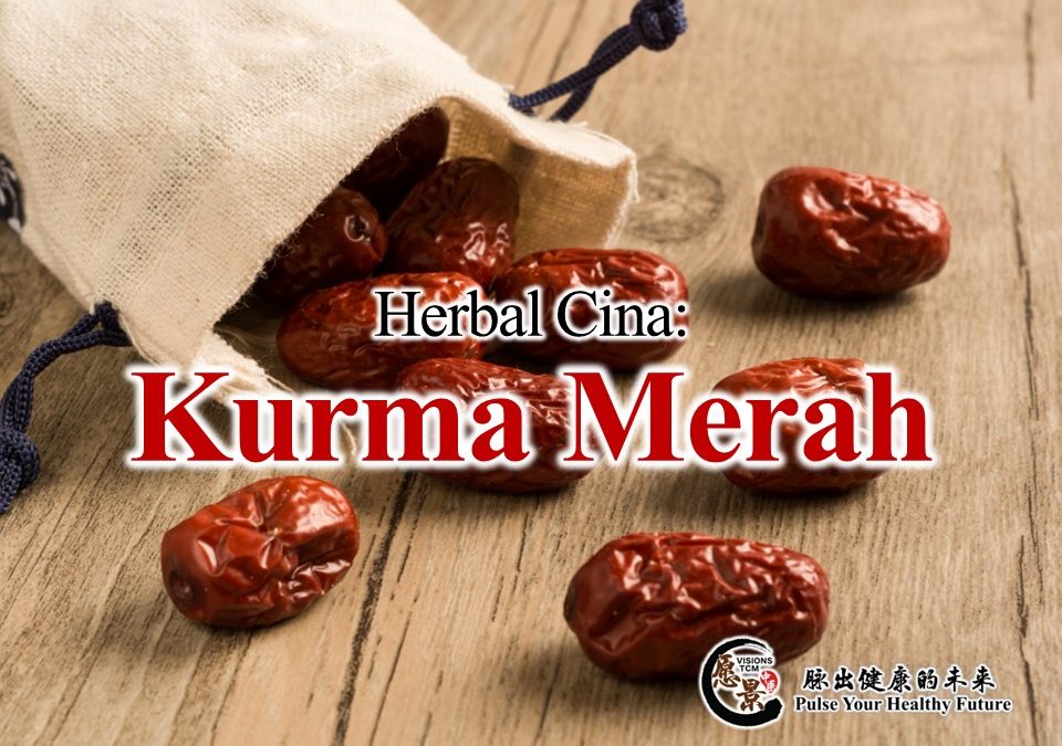📖 Herba Cina: Kurma Merah (Hong Zao)